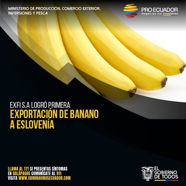 ProEcuador_'s tweet photo. #SeguimosDePie 🌍 | La empresa @a_exfi concretó la primera exportación de un contenedor de banano al mercado esloveno, luego de su participación en la rueda de negocios #BananoDelEcuador. ¡Seguimos llevando el sabor y calidad de nuestro 🍌 al mundo! #ReactivacionEcuador https://t.co/XxgRa4hPq5