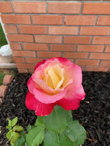 mkeithsmith's tweet image. 