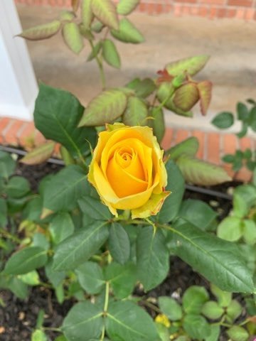 mkeithsmith's tweet image. 