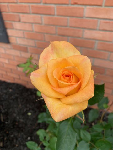 mkeithsmith's tweet image. 