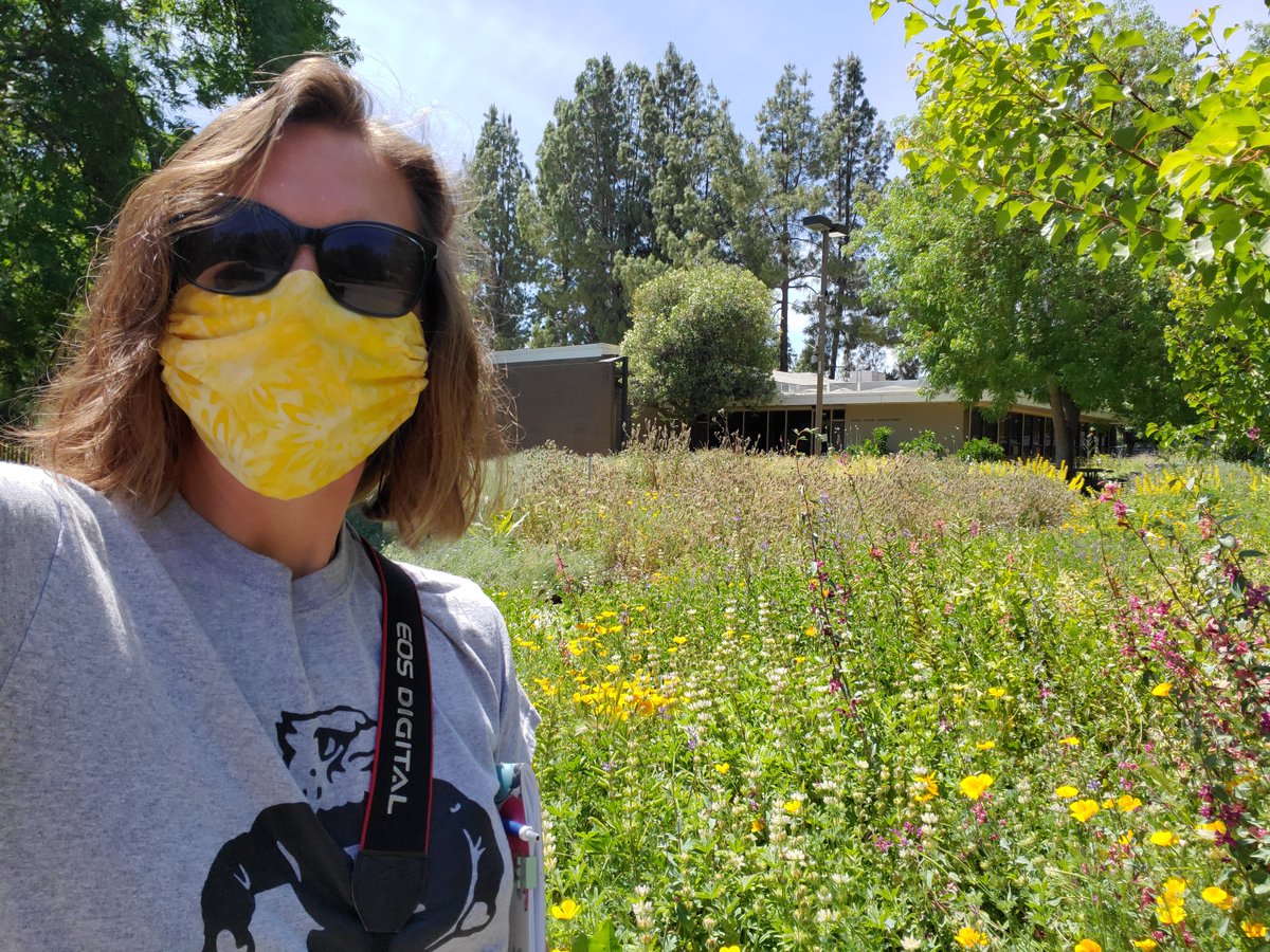 LMGerhart's tweet photo. #WildDavis students are doing our mid-day observations this week! I, for one, desperately needed a required break from my computer, even if I did look a little like an old-timey bank robber.
Read more at https://t.co/vNosxJ5kmn https://t.co/HTk5CHUd8M