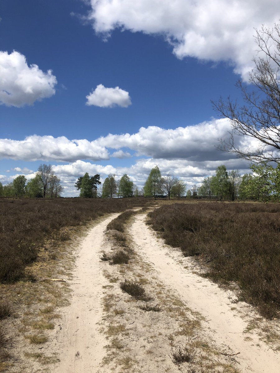 mordhorstkunst's tweet photo. 5-5-2020, Behringer Heide #nature #sun #spring #clouds #heide #lüneburgerheide #Niedersachsen #behringen https://t.co/1gBHYHL8Aq