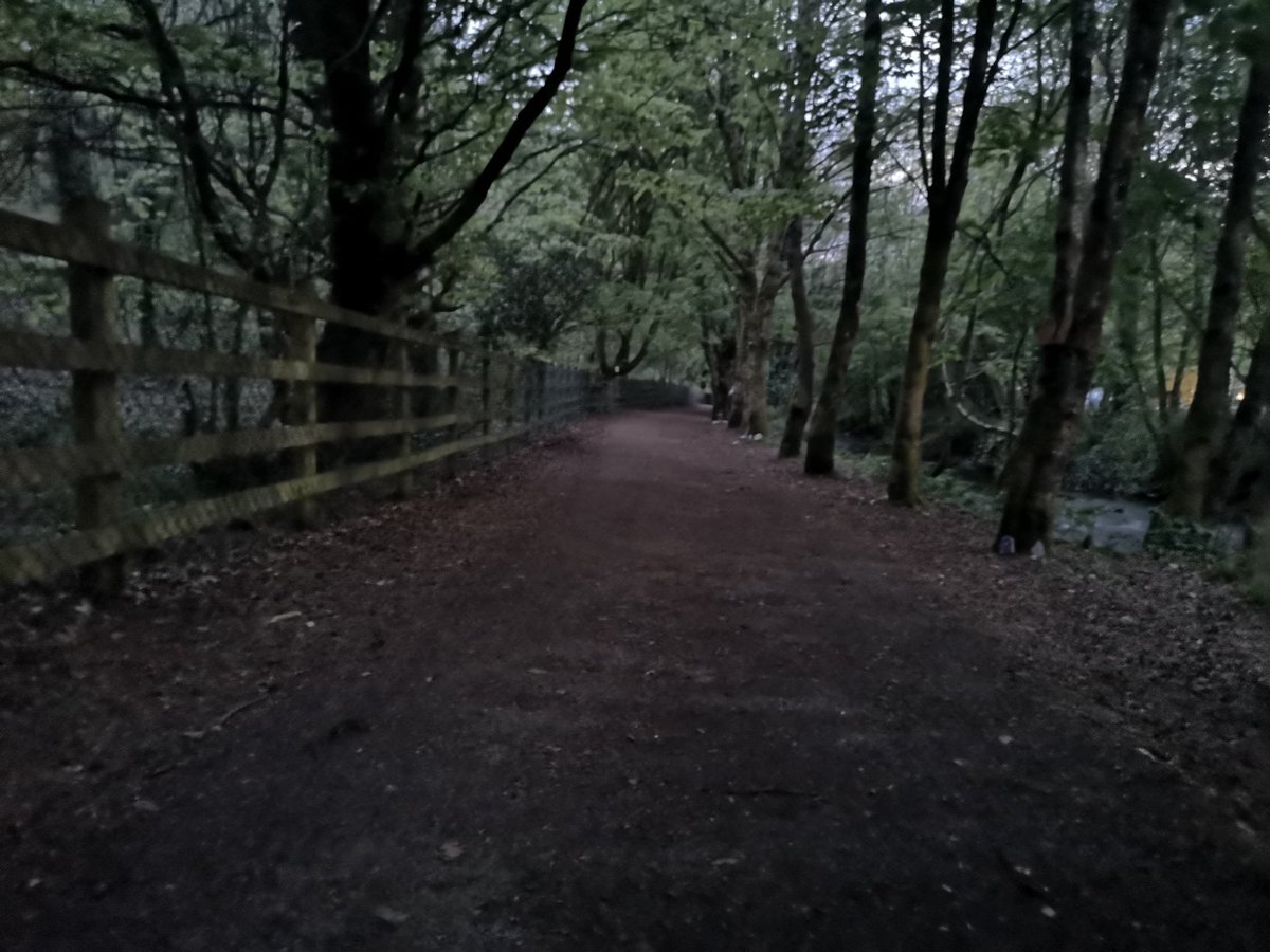 Some shots of the #GlanmireFairyTrail at dusk. Love the addition of the lights.