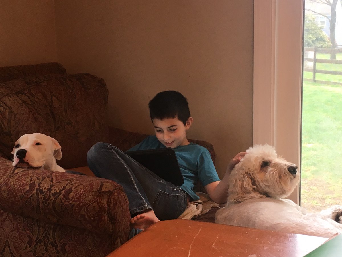 MrsMurr101's tweet photo. Tyler reading his choice book to the dogs. https://t.co/LIiOLSaGzf
