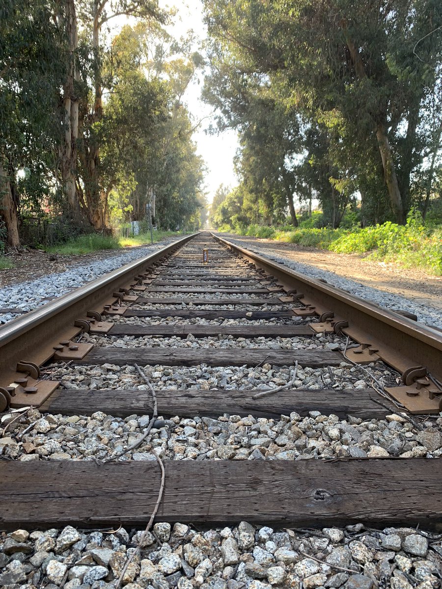 Sometimes You Have To Look Hard To See The Forest For The Trees. 🖤🖤🥃🥃
