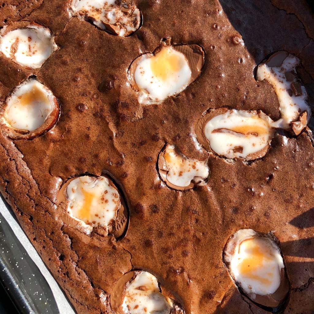 cavickhousefarm's tweet photo. Hen House treats out of the oven and ready for collection in the morning!! #cremeeggbrownies #lemondrizzle #coffeecake #henhouse #imbackbaby #teamcavick #readytocollect #baking https://t.co/9LPGrCvote