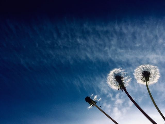 The_RPS's tweet photo. In partnership with Sharp Shots and Nikon, we’re taking part in ‘Grounded’, a weekly photo competition for children aged 7 – 16 years. This week's theme is ‘Abstract’: how can you represent movement, shadows or water? Enter: https://t.co/TG0DlXdCzs #RPSCompetition #RPSLearn https://t.co/GmZrOU9F93