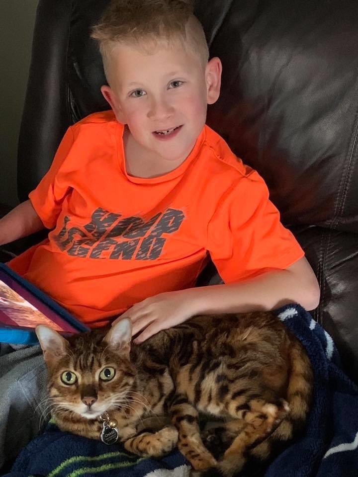 pac_cherry's tweet photo. More love from our Cherry Hill Community! Thanks for sending in these pictures with your pets. 😻 #CHEspiritweek @CherryHillSD75 https://t.co/i3YxrQ3suD