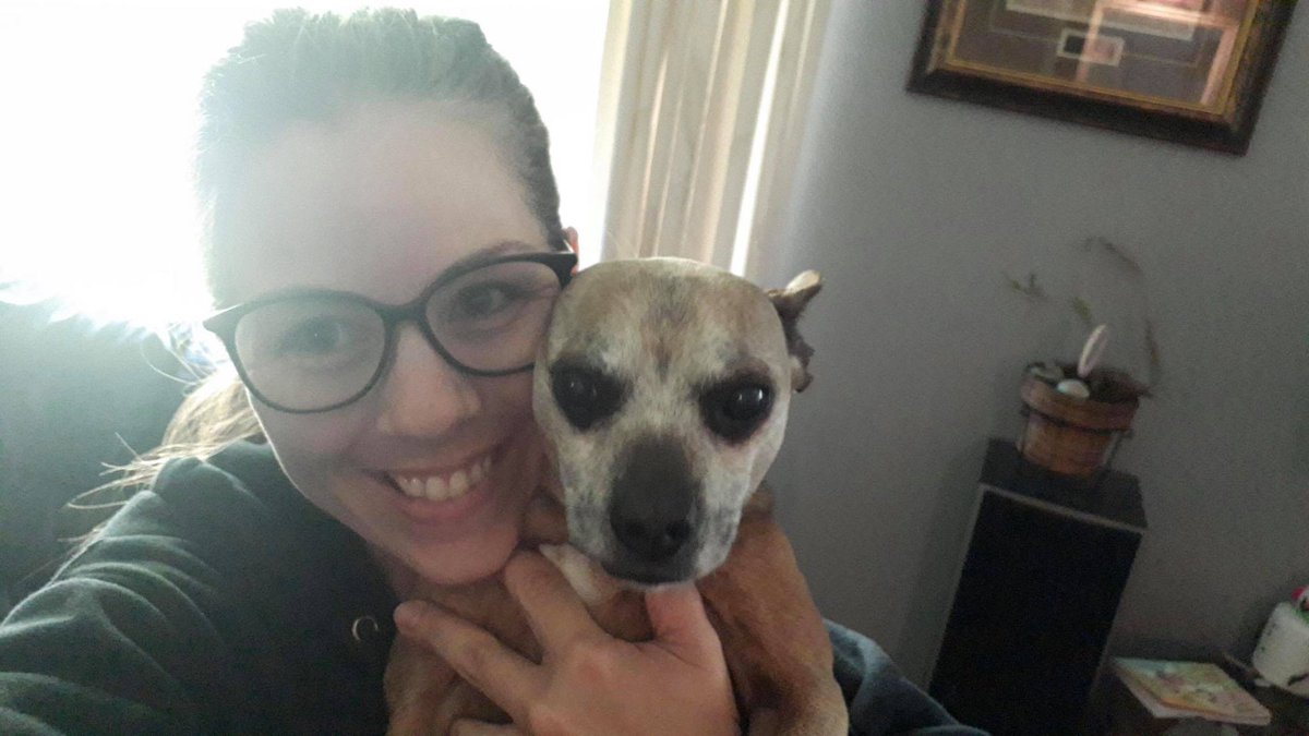 pac_cherry's tweet photo. More love from our Cherry Hill Community! Thanks for sending in these pictures with your pets. 😻 #CHEspiritweek @CherryHillSD75 https://t.co/i3YxrQ3suD