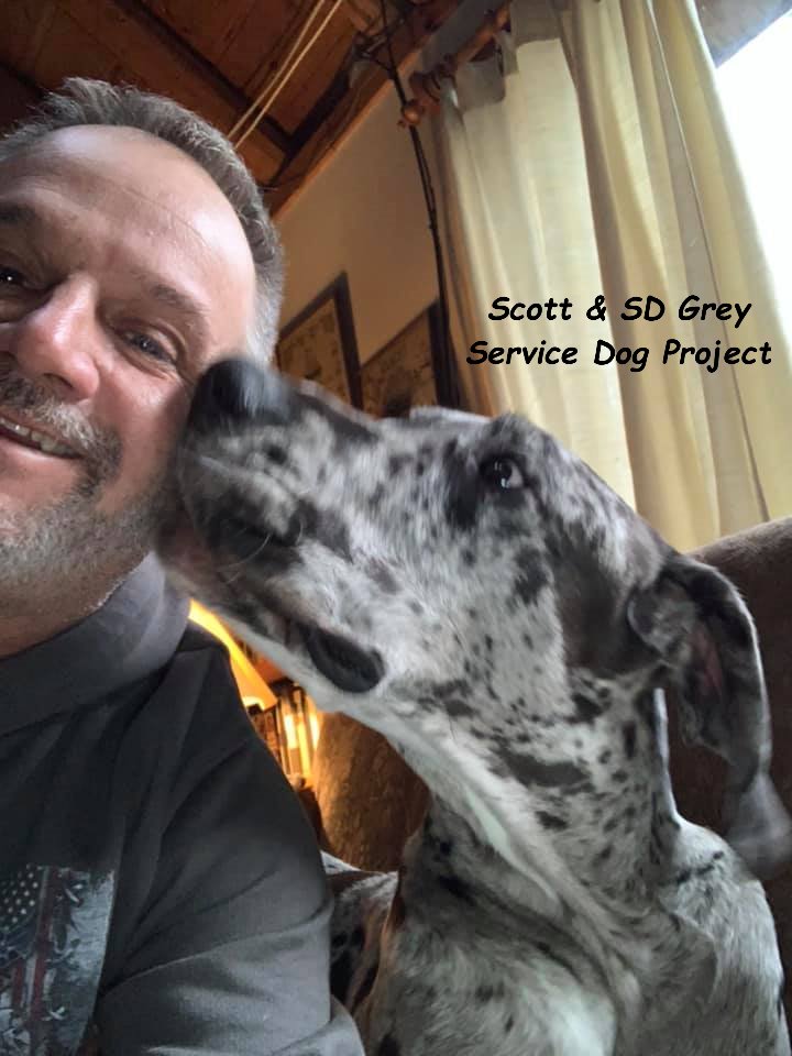ServiceDogPr's tweet photo. On #GivingTuesday, we want to share the joy we feel every time we give a #GreatDane #ServiceDog, #TherapyDog, or #PerfectPet to the dog's partner or family, as well as the joy of seeing the changes in that individual or family. 

#ThankYou for giving with us.

#Dogs #Sharing https://t.co/IAxDBX35zH
