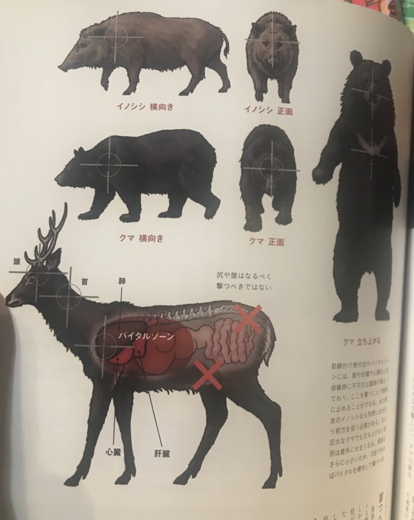 日和坂アート研究舎 パルコキノシタ Saveukraine 石巻 ケツに当たっても鹿は死なない T Co Blg94plcqi Twitter