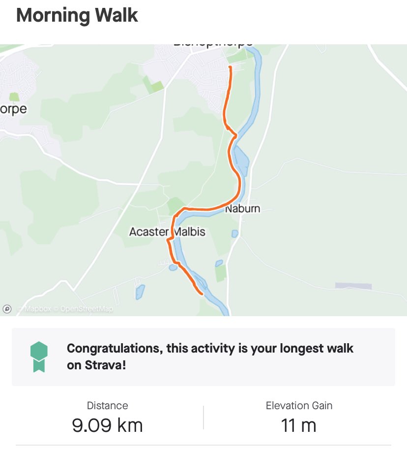 MandleMrs's tweet photo. Today’s walk with 2 dogs  - they added a dip in the river to the walk! #runaroundtheworld #lakesport https://t.co/79jKtFYE8J