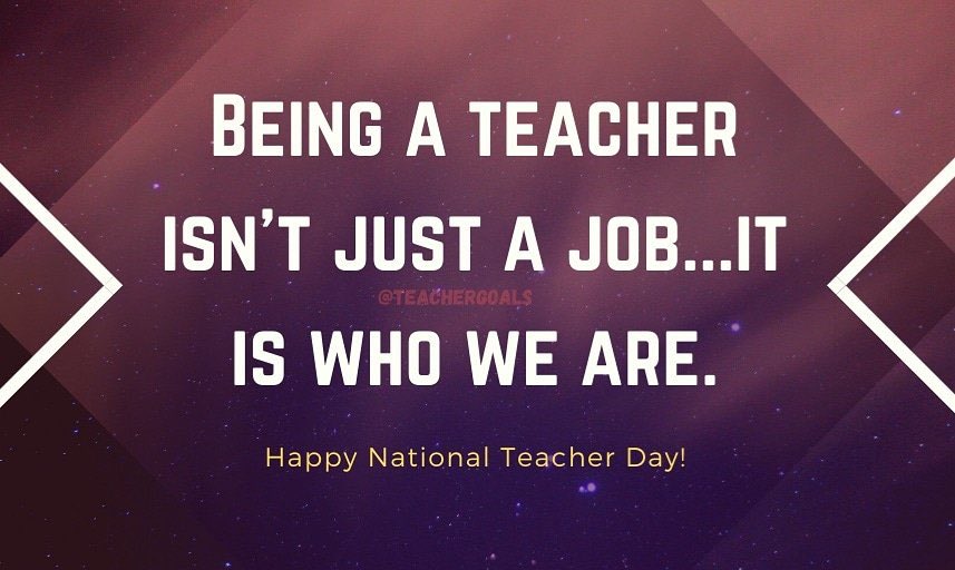 We are Timberwolves!