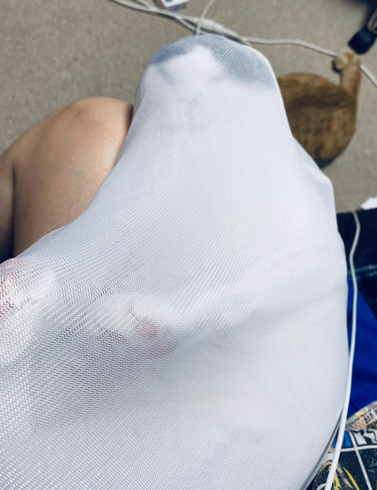 避難訓練のために飼い猫を洗濯ネットに入れたところ、ストッキングネタにしか見えないww