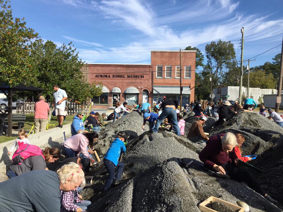Aurora Fossil Museum tweet media
