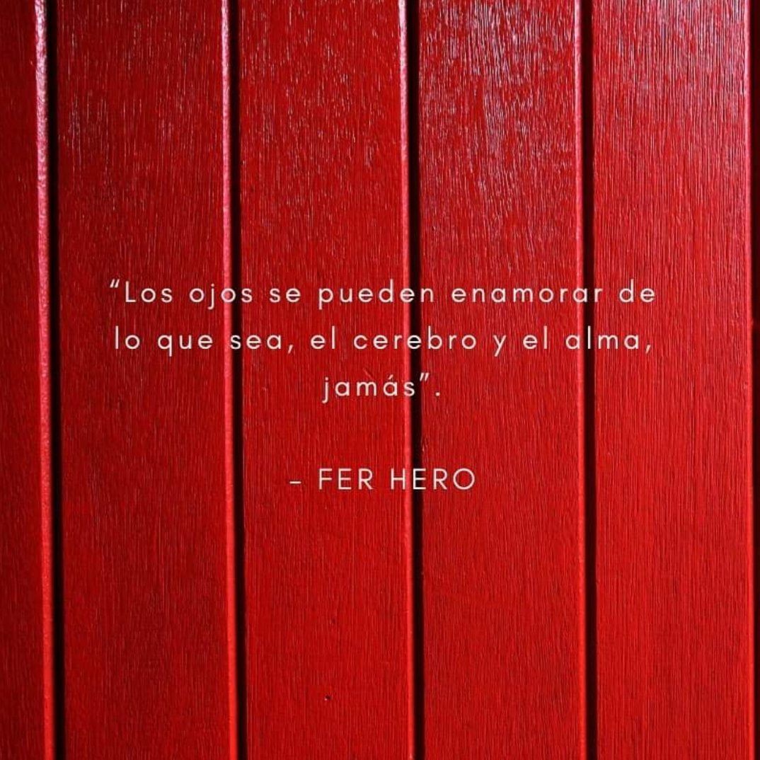 Vinceró tweet media