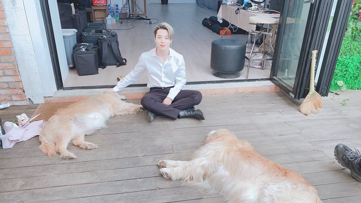 minkyungsa's tweet photo. JIMIN UPDATE!! GIVEAWAY TIME! Hadiah Album MOTS &amp; pulsa 50k :

RT dan like 
Reply ini dgn

"JIMIN UPDATE"

Siapa pun boleh join, meski bukan followers. Asalkan kamu ARMY! 💜
Close besok jam 10 malam😭💜
Goodluck!
.
.
ps : aku juga bakal update lagi HTBJW besok di Wattpad😭💜 https://t.co/1Bxxq48VoV