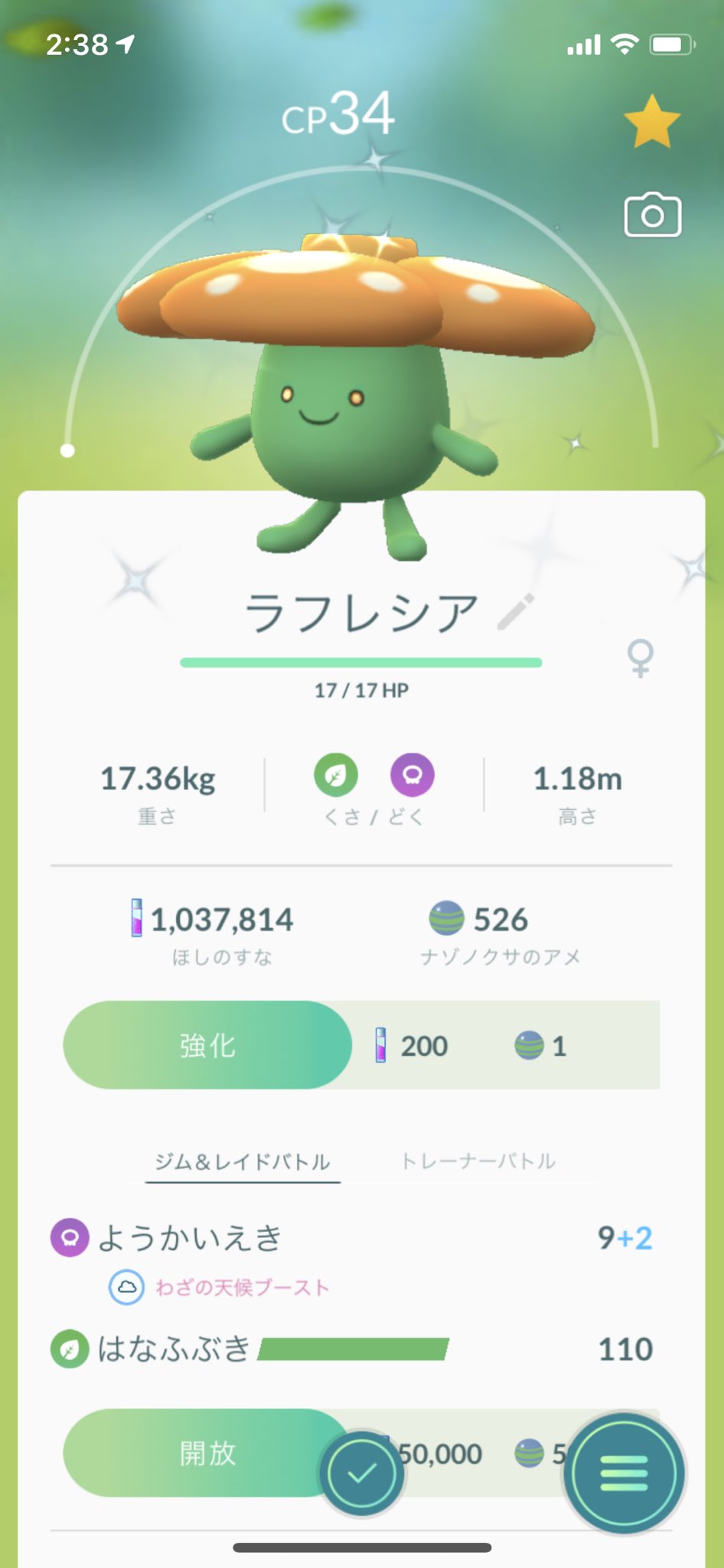 ラフレシア色違い Twitter Search Twitter