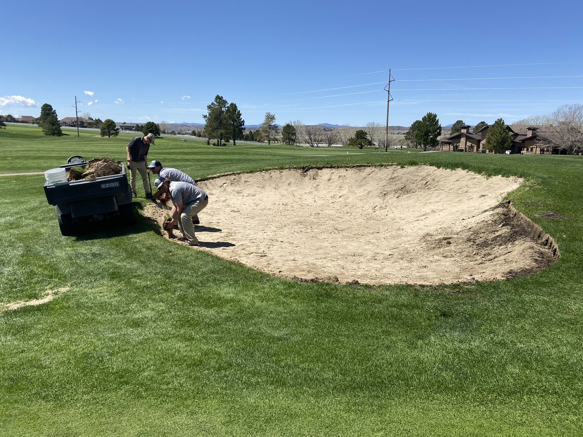 pinerygcm's tweet photo. With aerification in our rearview mirrors we can concentrate on getting bunkers back together👍  looks great team! https://t.co/mhPs0idTbj