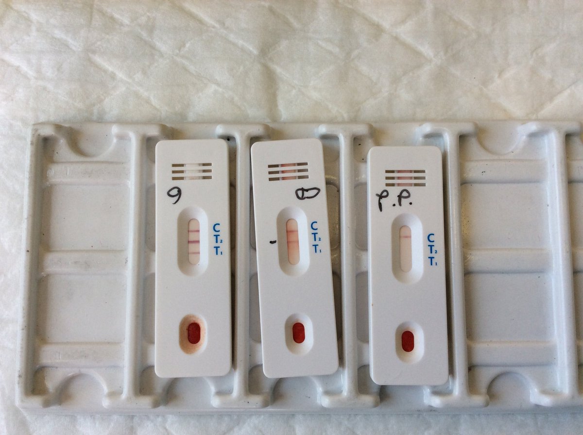 sbonaccini's tweet photo. #Coronavirus, da @Regione via libera a 60mila test sierologici nel PIACENTINO. I primi 30mila su conviventi e persone venute in stretto contatto con positivi. Risultati entro il 20 giugno. @raffaeledonini: Forte accelerazione nella lotta contro il virus
https://t.co/3NtKu5f79b https://t.co/OWKvbKpOEe