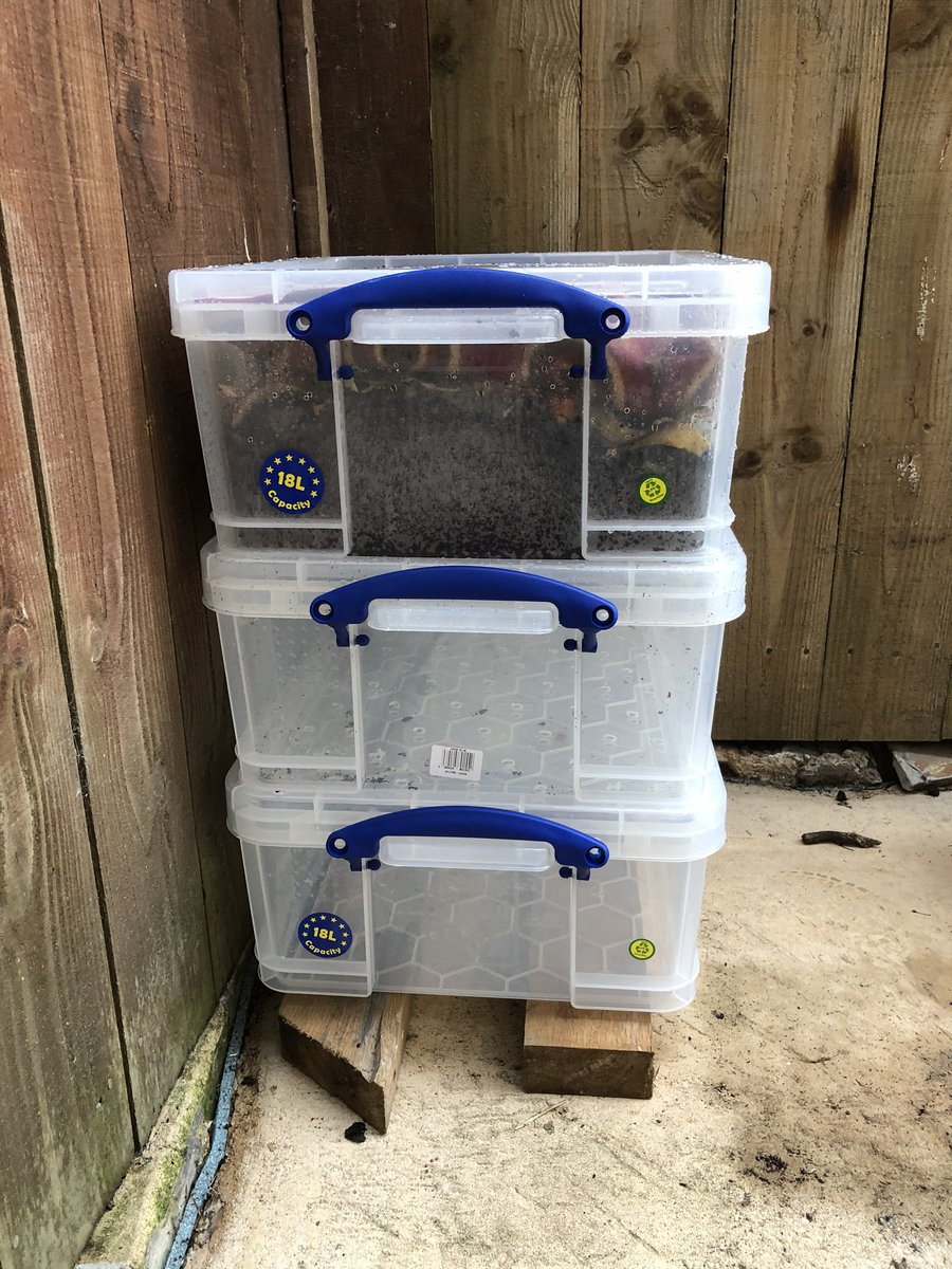 Cause obviously whilst in lockdown you need to build a wormery! I mean that and sourdough starter...