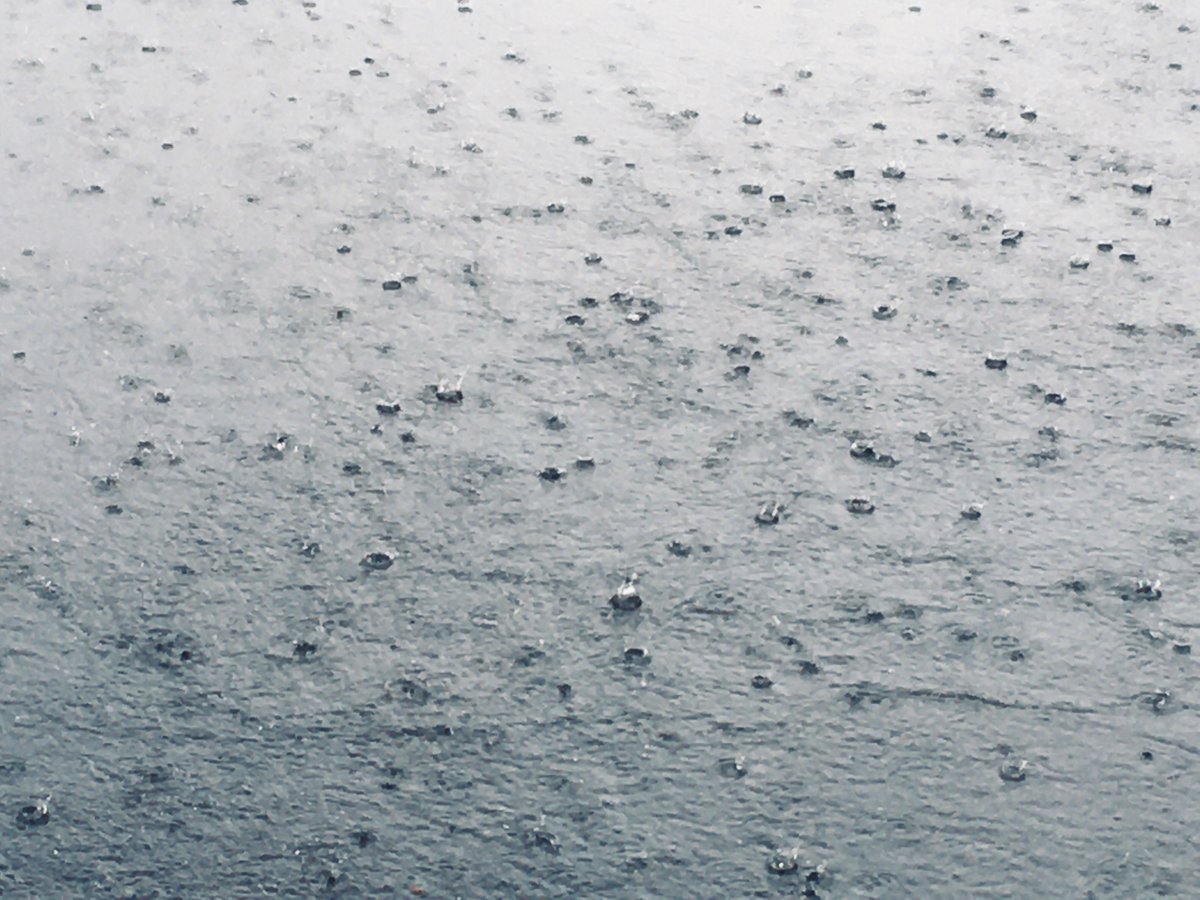Linda_sp8's tweet photo. Wednesday is operational forecasting day at #ShareEGU20.
If you have developed a surface water flood forecasting system you'll probably (hopefully!) find we have reviewed it. Join the chat for HS4.5 at 14:00 CET to hear our thoughts https://t.co/qpSX8vvMue #HEPEX #FFIR https://t.co/FyyR5fH7no