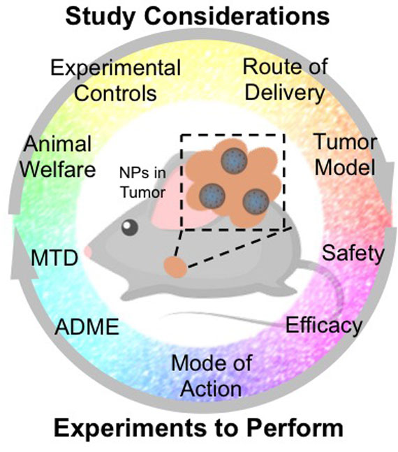 Very excited to share this report by @TheDayLab members regarding Best Practices for Preclinical In Vivo Testing of Cancer Nanomedicines. We hope this article will be useful to the scientific community! doi.org/10.1002/adhm.2…