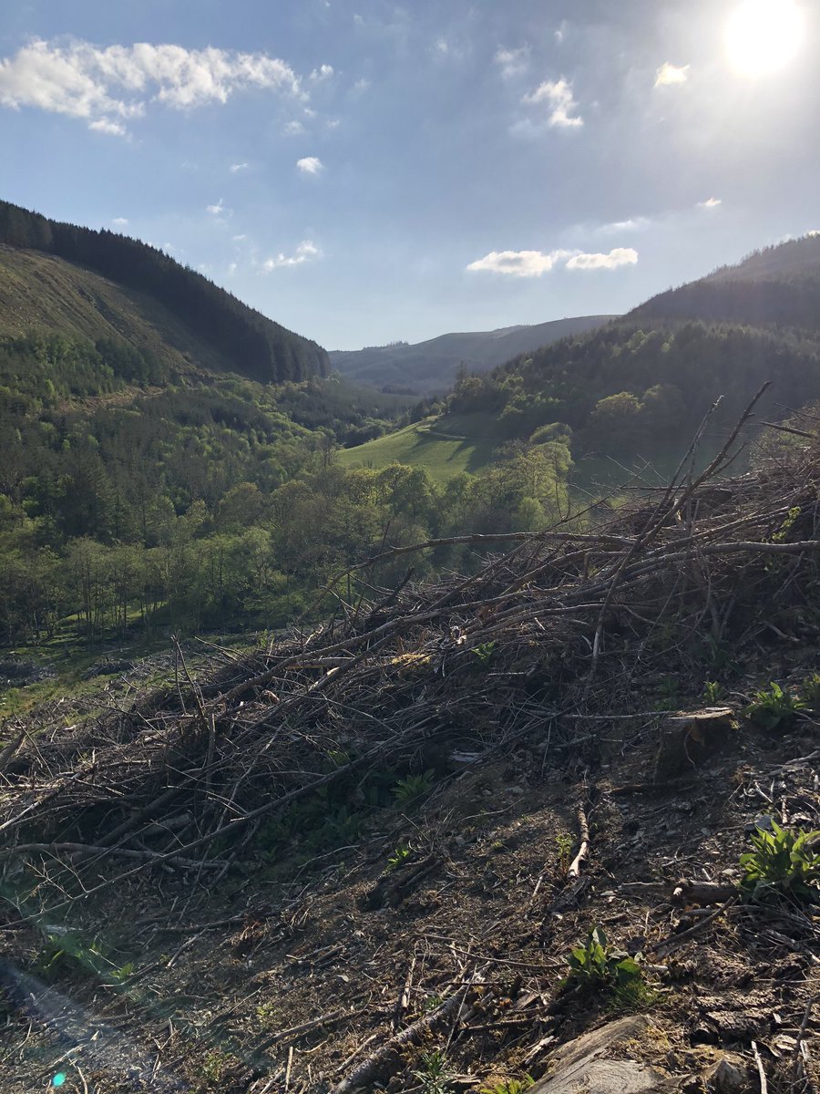 Llandod Fire (Stn 13) tweet media