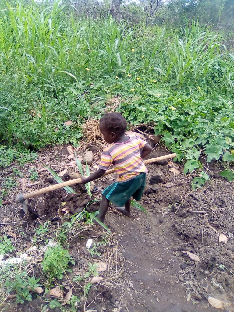 oyat_oola's tweet photo. This lockdown made my little daughter not idle, she is busy for agricultural products https://t.co/S9F1EFRxd6