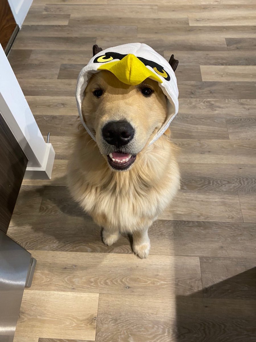 dogfather's tweet photo. Kevin is still finding out who he is and that’s okay https://t.co/WtFmSO9tbn