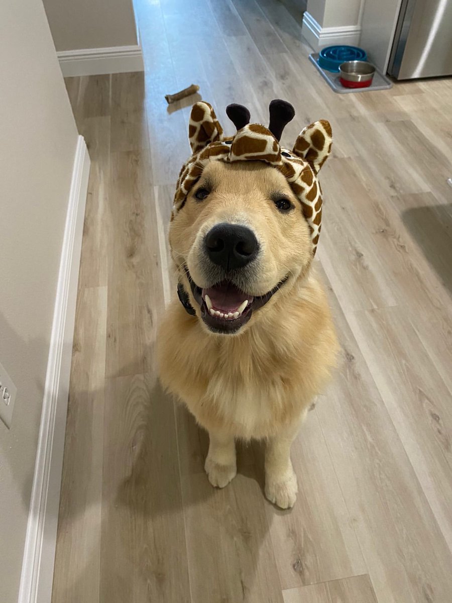dogfather's tweet photo. Kevin is still finding out who he is and that’s okay https://t.co/WtFmSO9tbn