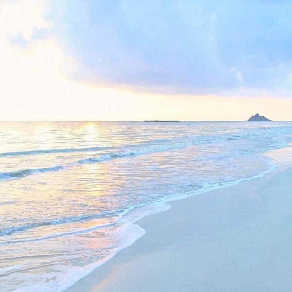 dalacor27's tweet image. 