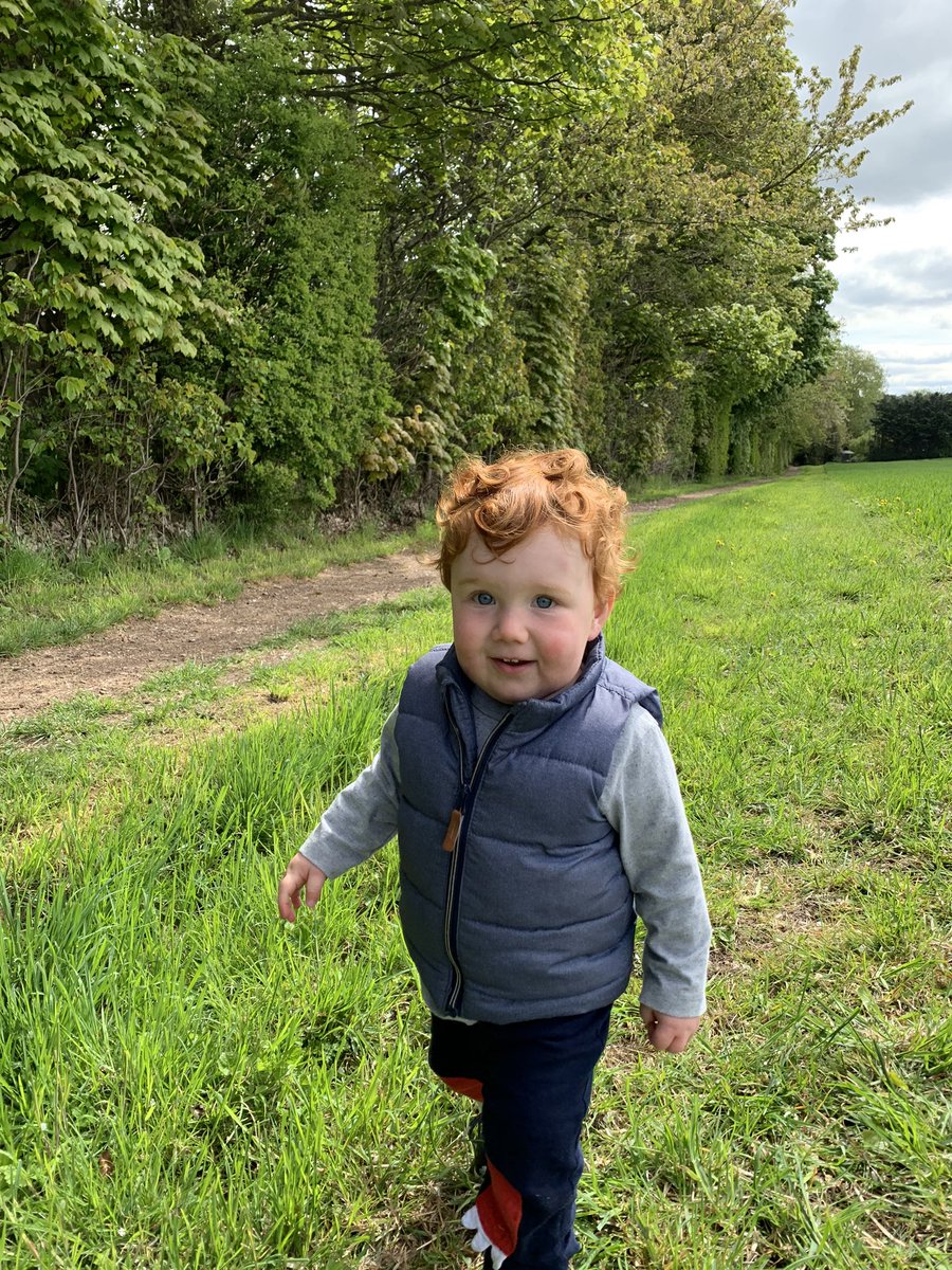 DiaryConnors's tweet photo. LOCKDOWN DAY 43

Decent wee shift with the old boy today....Didnt do much productive but we did go a different walk...Some nice scenery but I was to busy chomping down on raisins to pay attention 🙂 https://t.co/IEfMX6FHjD