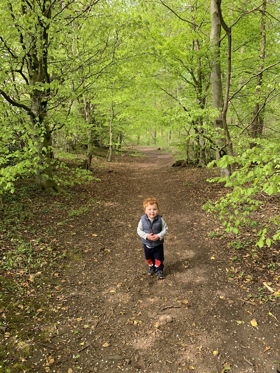 DiaryConnors's tweet photo. LOCKDOWN DAY 43

Decent wee shift with the old boy today....Didnt do much productive but we did go a different walk...Some nice scenery but I was to busy chomping down on raisins to pay attention 🙂 https://t.co/IEfMX6FHjD