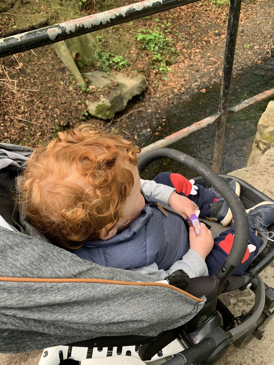 DiaryConnors's tweet photo. LOCKDOWN DAY 43

Decent wee shift with the old boy today....Didnt do much productive but we did go a different walk...Some nice scenery but I was to busy chomping down on raisins to pay attention 🙂 https://t.co/IEfMX6FHjD