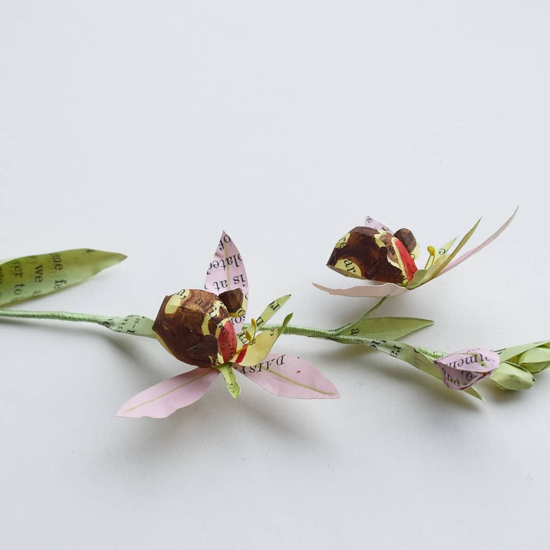 kasasagiDesign's tweet photo. Ophrys apifera (Bee Orchid) - made from the pages of a broken wild flower book, wire and embroidery thread. #botanical #paper #wildflower #SciArt https://t.co/6e0oAmcLUw