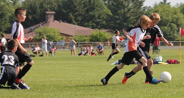 HuzzahSports's tweet photo. Still early, but many of us are discussing return to play.  @AspenInstSports has put together a quick reference guide.  A bit simplistic but provides ideas as you approach safely opening up youth sports. 
#youthsports #grassroots
https://t.co/EZqzFOJCfM https://t.co/wZTGMl0Nrq