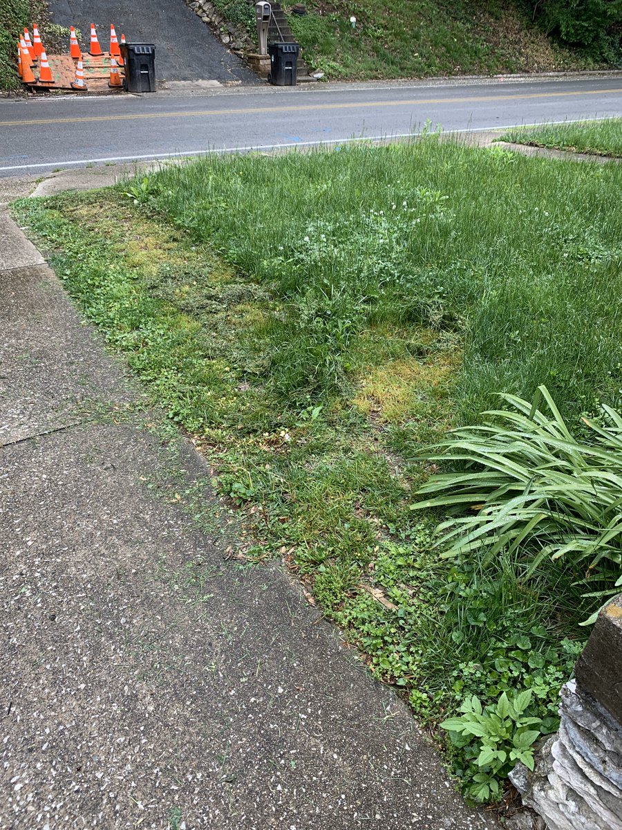 bekscruf's tweet photo. We finally got our lawn mower to work for about this long...

Also please note the absolutely hilarious number of orange cones across the street. https://t.co/UZvt2r0kOU