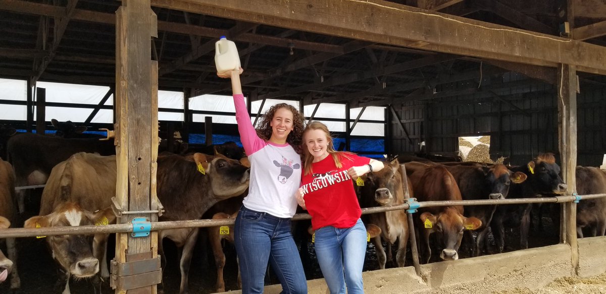 Raise your hand if you ❤️ dairy! <a href="/SydneyEndres1/">Sydney Endres</a> and I do! We are selling 'Support Local Farmers' shirts with all proceeds going to buy dairy products at food banks. Learn more here: mariah-martin.weebly.com/beyond-the-tab…