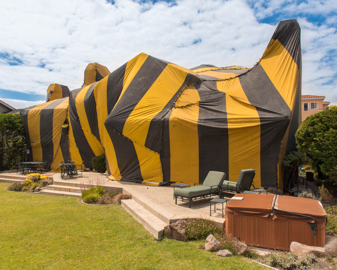 RGV Bugbusters, LLC (@llc_rgv) / Posts / X