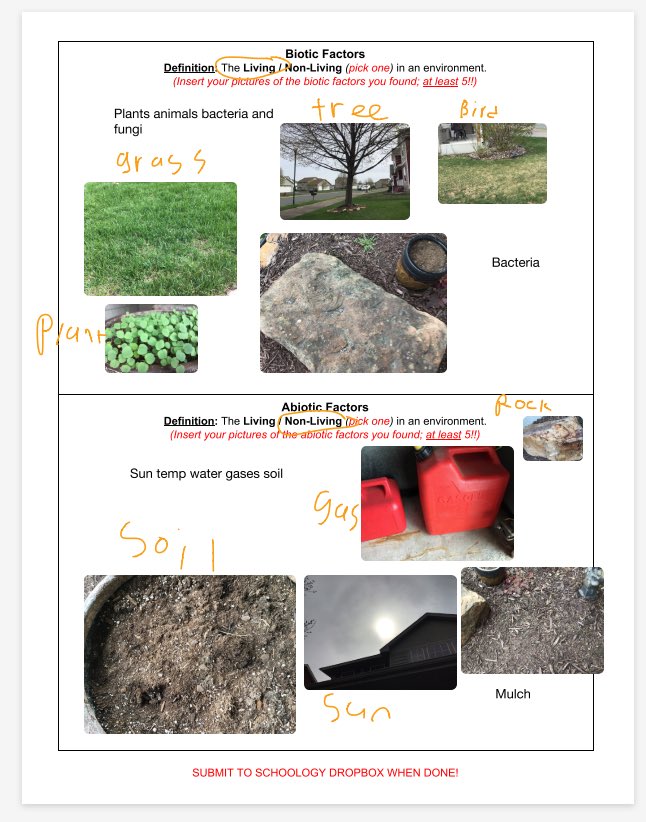 erin_tone's tweet photo. I am loving seeing today’s work come in for our abiotic/biotic scavenger hunt! @DodgeTigers https://t.co/aiaLnYMsbW