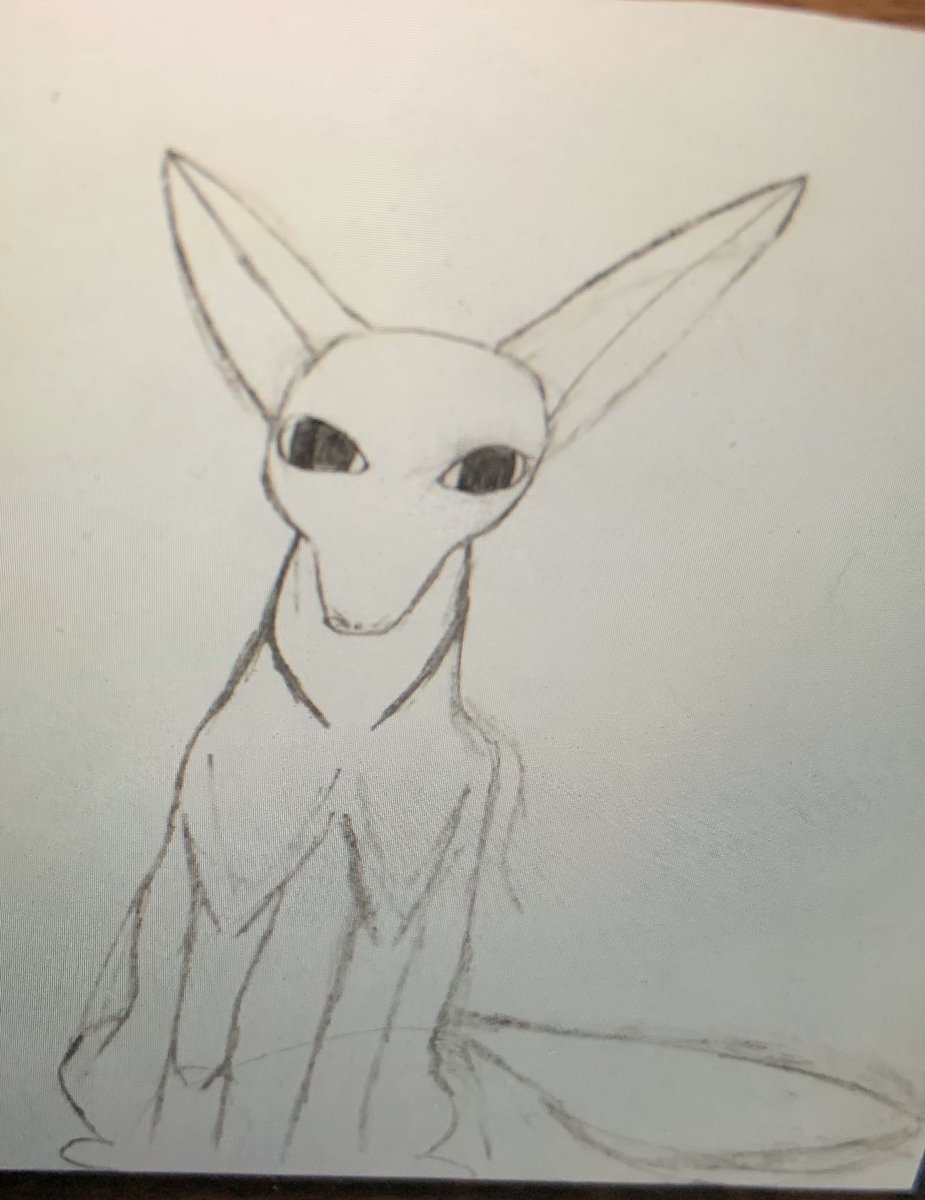 RonSouthernSch3's tweet photo. I am really impressed grade three! Keep up the great work on your animal research 🦎 https://t.co/QbmuZ7Qzj6