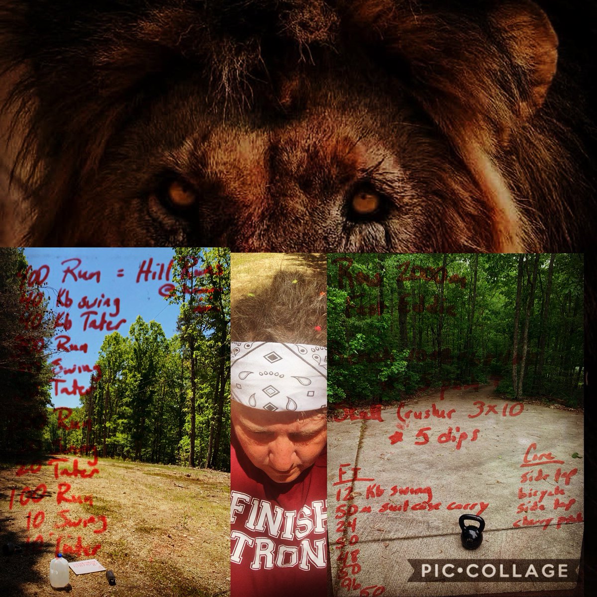 TrainAtFosters's tweet photo. What do you do when you bite off more than you can chew?

Spit it out and chew it up again 😤

#fosterfreaks 
#100to0 
#iamphirstphorm https://t.co/oYdZ6Q4twT