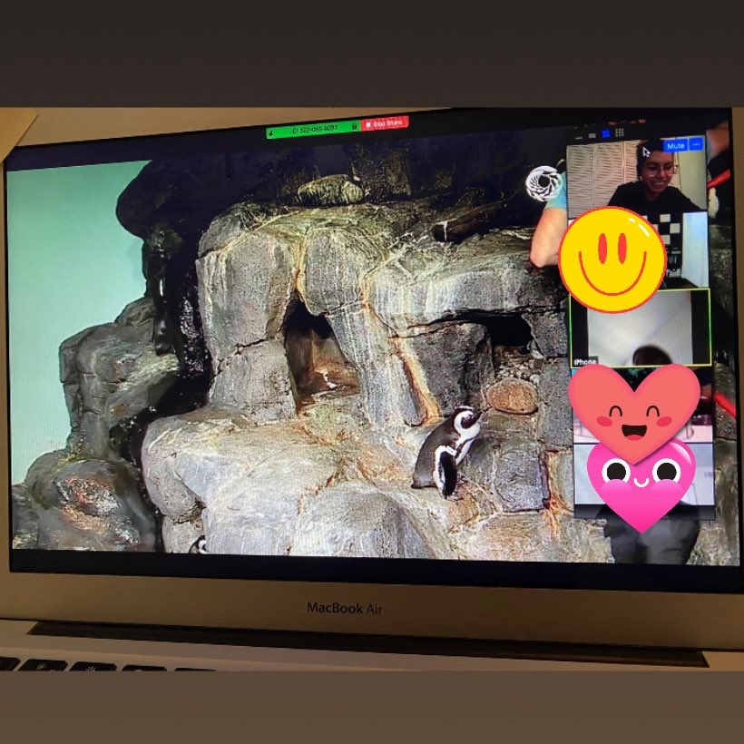 ms_hirsch2017's tweet photo. Today we took a virtual field trip to the aquarium! Spent our time learning about our pals the penguins @newschester #continuallearning https://t.co/yuA7p8RqlU