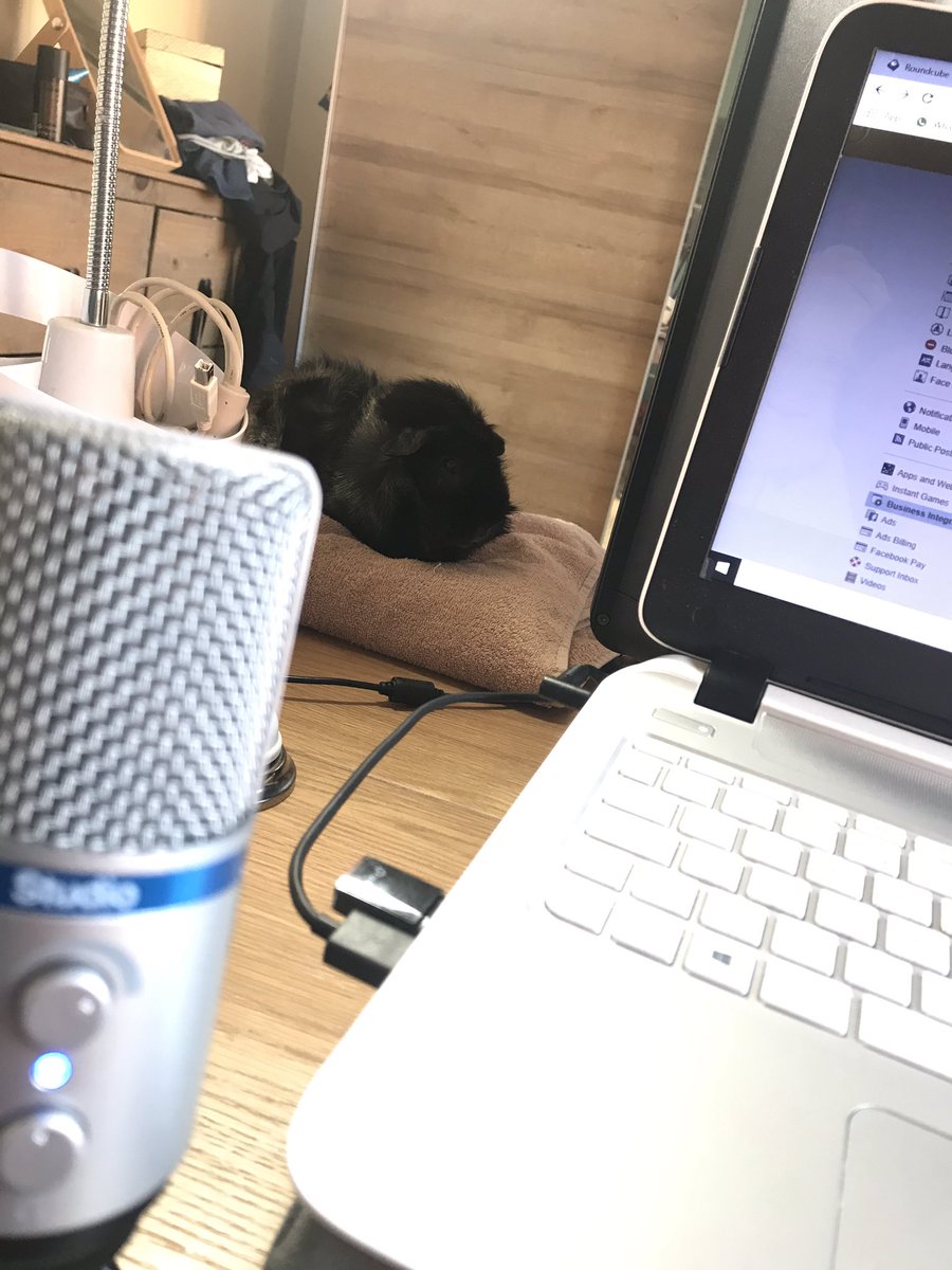 The live quizzin starts at 730pm and tonight the supervisor is in watching <a href="/fmhursty/">Hursty</a> #guineapiglife