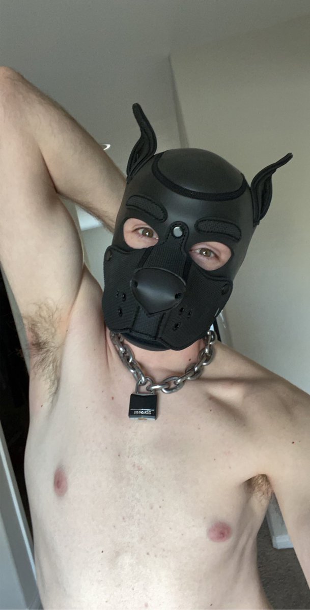 RuffPupRosko's tweet photo. Sometimes you just wake up and feel like starting the day on a fun note #PupTime https://t.co/gspJYExkXJ