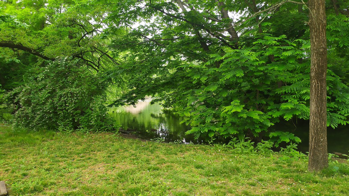 Walking in the park: phase 2 at the beginning in Milan #milano