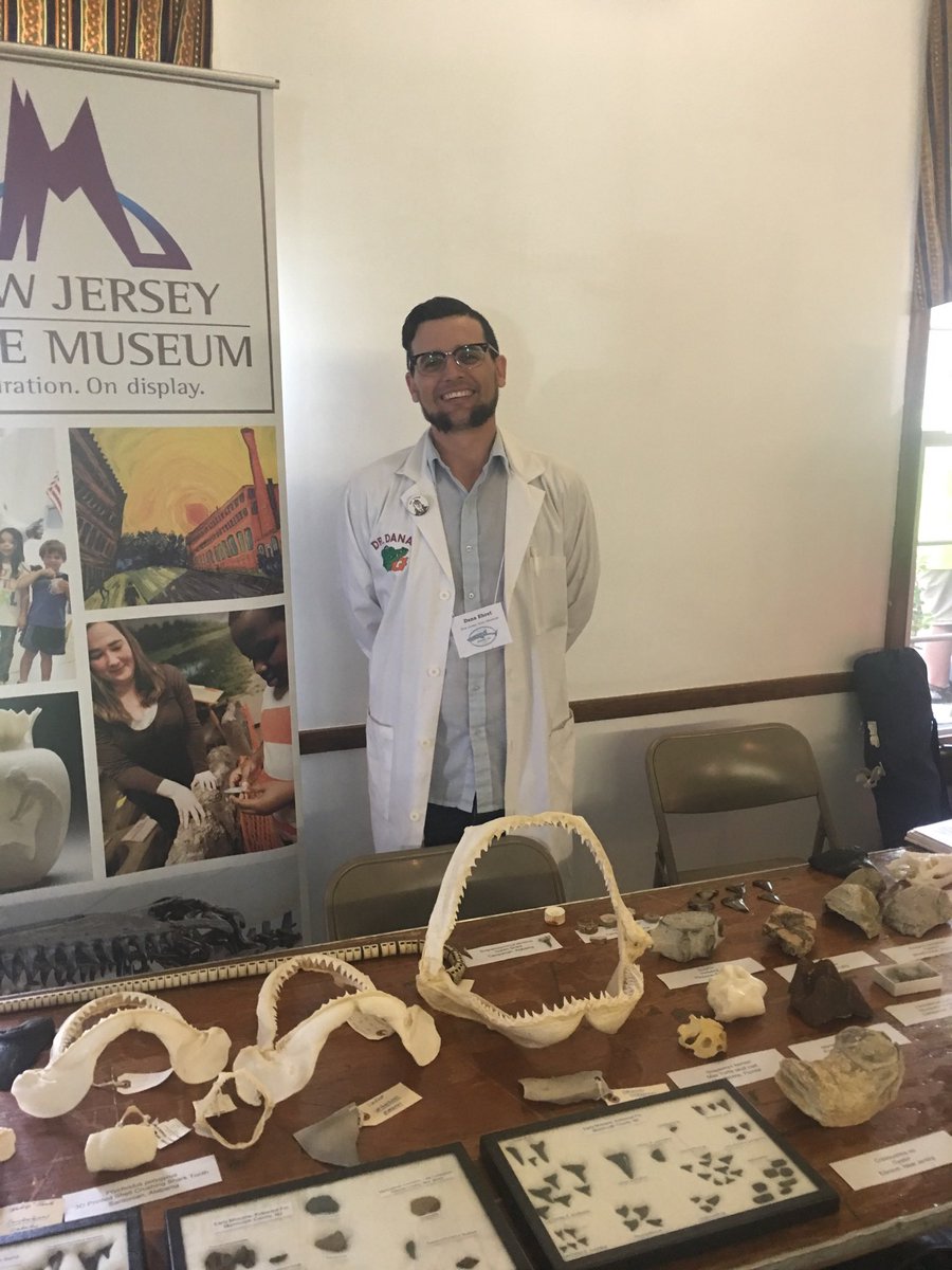 Dipleura tweet media