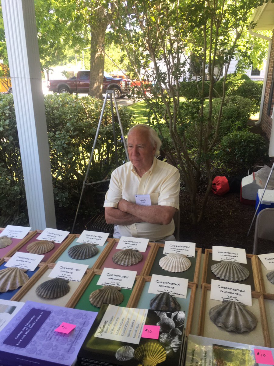 Dipleura tweet media