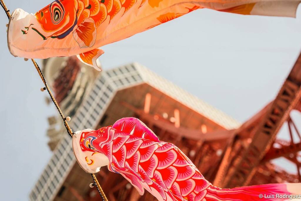 🎏🗼🎏
.
Banderolas con forma de carpa “koinobori” a los pies de la Torre de Tokio por el día de los niños o Kodomo no Hi, que se celebra el 5 de mayo. instagr.am/p/B_0PB99nuxq/